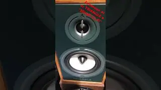 Стильные, компактные, отлично звучащие активные ас TRIANGLE BOREA BR02BTживьём в салоне ЗЕНИТ HiFi