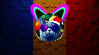 ALBU PHILIP ❌ CSD GABY ❌ BROKE ❌ BIPO KID - NEVEU 👊🏻💥(bass boosted)
