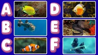 ABC Fish Song for Kids 🐠 | Learn Ocean Fish Names from A to Z | Fun Educational Song for Children