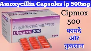 Cipmox 500 Capsule Uses, Dosage And Side Effects | Amoxycillin Capsules ip 500mg | फायदे और नुकसान |