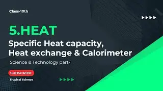 What is Specific Heat Capacity? | Principle of Heat Exchange | Calorimeter | Heat @Tropical_Science