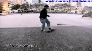 Tom Delonge Flip In Skateboard 1998 Rare blink-182
