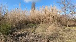 À vendre Villecroze maison sur terrain agricole 