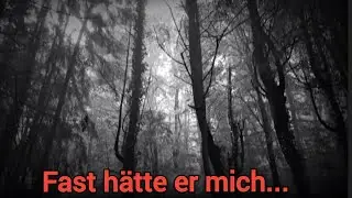 Die lauernde Gefahr, wenn Du im Wald wohnst...aber ich habe ihn erledigt. 