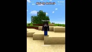 Minecraft Java vs Bedrock: Which is BETTER?