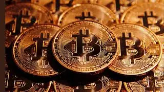 does bitcoin revolution work