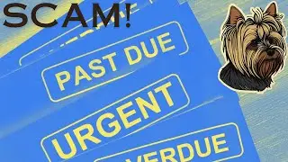 Confronting HORRIBLE Debt Collection Scammers!