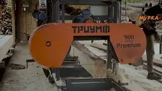 Мурка Ленточная ПРОФЕССИОНАЛЬНАЯ пилорама Триумф  900 PREMIUM The band sawmill Triumph 900 pilam.ru