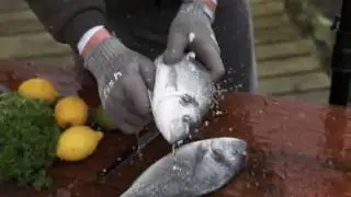 Fish gloves
