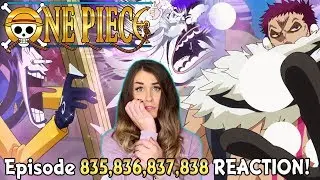 BIG MOM'S PAST! THE PLAN FAILS! One Piece Episode 835, 836, 837, 838 REACTION!
