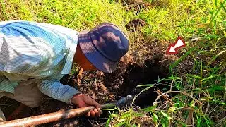 Змеиная пещера размером с человеческую голову | Змеиная охота