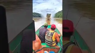 Fish fliying in the Sky?😱 Rod Fishing Adventure#fishing #flyfishing #rodfishing #shorts #fish #river
