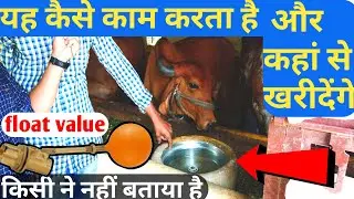 Ballcock , float value system in dairy farming by farmar choice