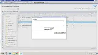 SAP BO Administration - Managing Versions Info Objects