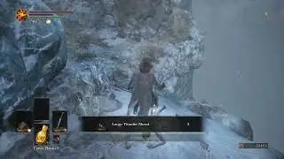 Titanite Chunk x 2 & Large Titanite Shard x 4 at Snowy Mountain Pass, Dark Souls III