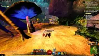 Elder Druid protection Living Story 3 Episode 5 Act 4