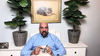 Pets Rules Show