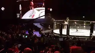 Conor McGregor jumping into cage.