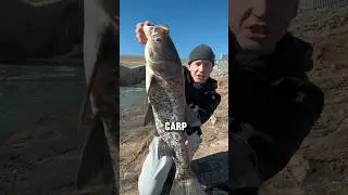 NEVER Release This Destructive Fish!