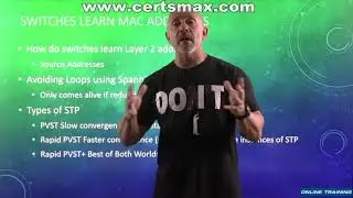 31 LAN Switching Concepts