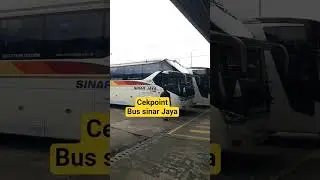 Sinar Jaya 13 Re #shortes #busmania #huntingbus  #sinarjaya  #sinarjayamania