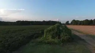 Make it Calhoun - My Mississippi Home