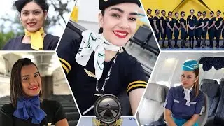 Feliz d&iacute;a Internacional del Tripulante de Cabina 31-05 #acftsnap Les saluda 🙋🏽&zwj;♂️✈📷
