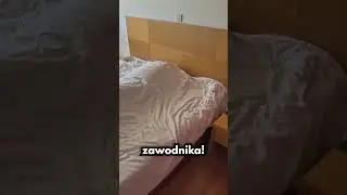Widziałeś Kiedyś Coś Takiego?!?!🤯