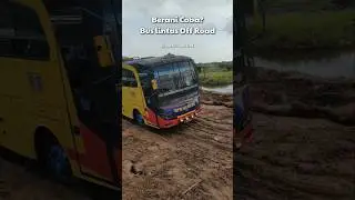 Would You Try? Off Road Bus - Pinem Lintas Sumatera #offroad #extremeroad #bus #mudrunner