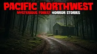 9 Most Disturbing TRUE Pacific Northwest Mysterious Forest Horror Stories | Bleak Fears