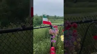 iRAN FREEDOM