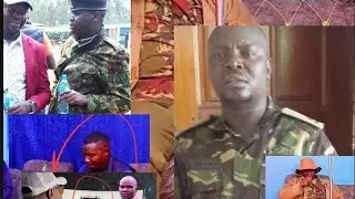 Truth  watch dog  finally  surrendered 