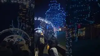Have a Holly Jolly Christmas #trendingshorts #christmas #lafarge #lake #light #happychristmas