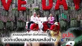 สวนนงนุชพัทยา จัดกิจกรรมจดทะเบียนสมรสบนหลังช้าง
