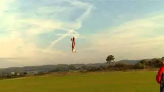 Extra 2,20 Andre Petersen., Thunder Tiger
