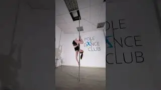 Pole Art