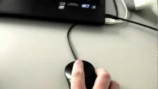 Mouse Basics