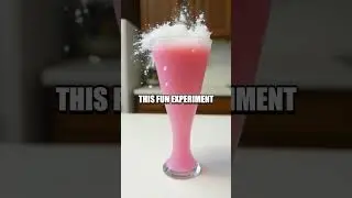 The Color-Changing Cabbage pH Experiment