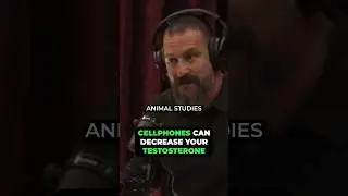 Cellphones Can Decrease Your Testosterone Levels😖