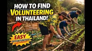 HOW TO FIND VOLUNTEERING JOB IN THAILAND I MINDFUL FARM