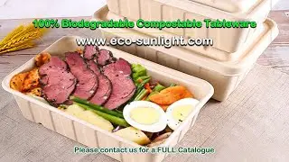 Eco-friendly 100% Biodegradable Compostable food  container restaurant takes out box China factory