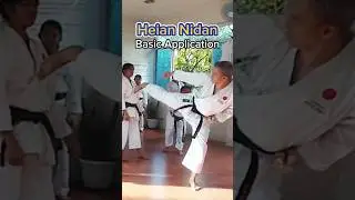 Heian Nidan Basic Application #blairebustillo #application #bunkai #karate