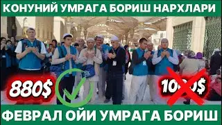 2026 ФЕВРАЛ ОЙИ УМРАГА БОРИШ НАРХЛАРИ ☎️91.045.33.33