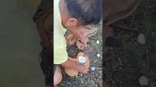 COPRAS MAKING TIPS! COCONUT TO BE SOLD #share #like #fun #sell #enjoy #coconut #coprasellingtips