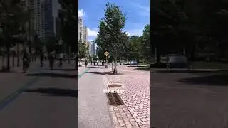A cycle ride in Queens quay Road
