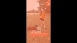 How to train your dog to roll over