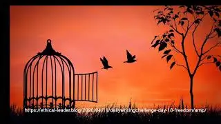 Joy Of Learning - Freedom and Peace