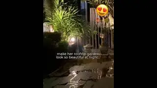 SolarGator's Solar-Powered Garden & Outdoor Lights