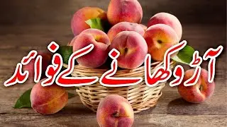 10 healthy benefits of peach 🍑| peach benefit for weight loss | آڑو کے فائدے | cooking with samha