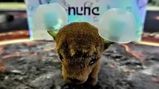 DUNU CANDY &ndash; изучаем размер L...